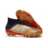 adidas Scarpa Predator 19.1 FG Oro Argento Rosso