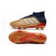 adidas Scarpa Predator 19.1 FG Oro Argento Rosso